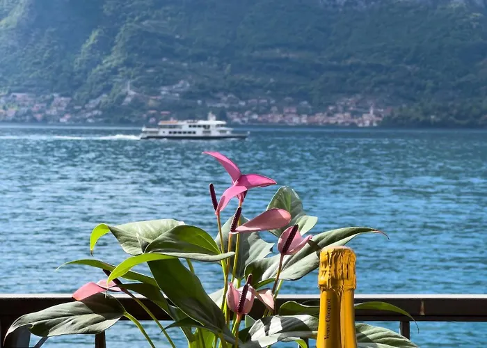 דירה Try On With Balcony לצנו